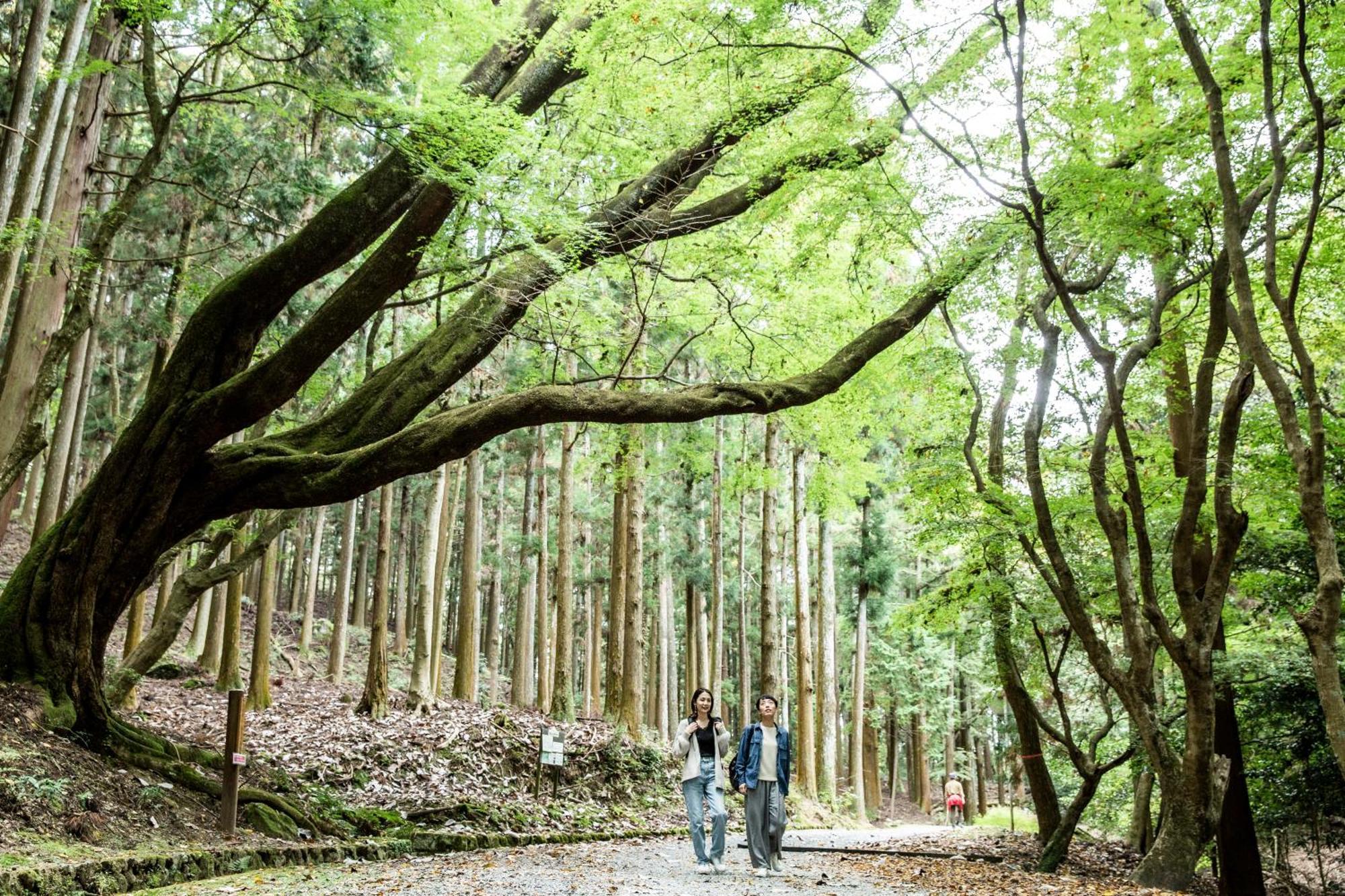 Ando Hotel Nara Wakakusayama -Dlight Life & Hotels- Esterno foto